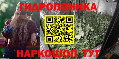 амф Ликино-Дулёво